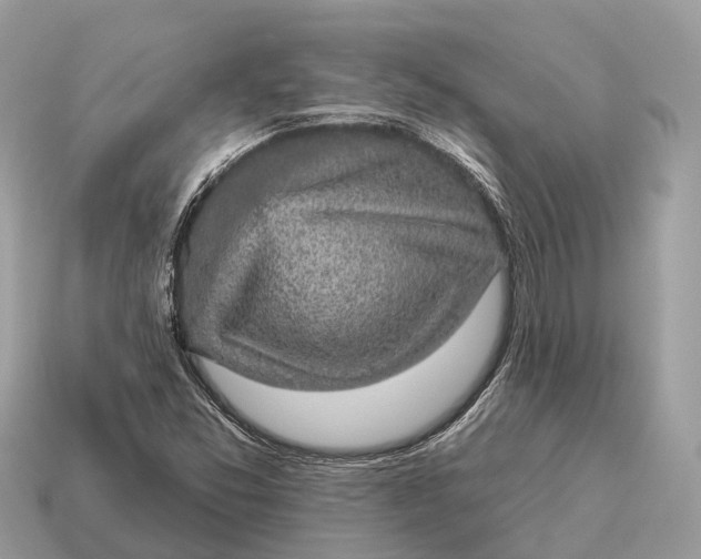 X0000115131357200911101638