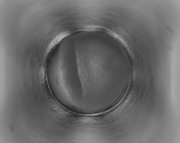 X0000115131362200911101638