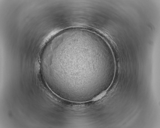 X0000115131363200911101638