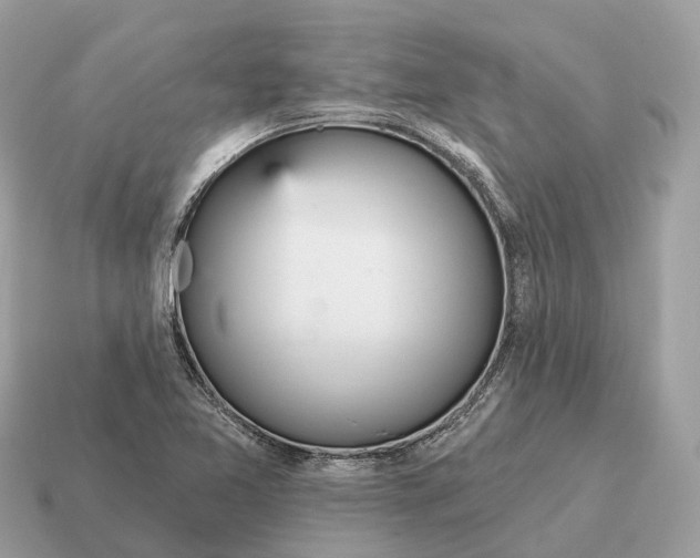 X0000115131365200911101638