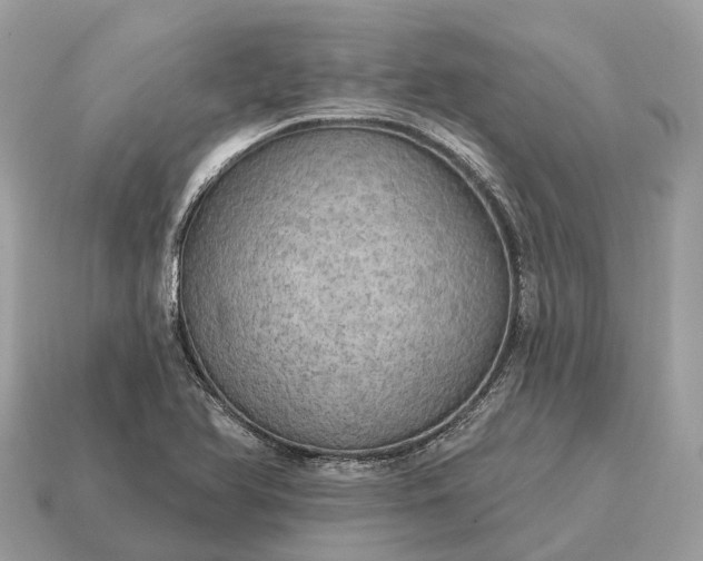 X0000115131366200911101638