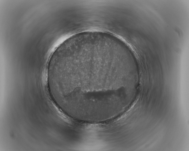 X0000115131367200911101638