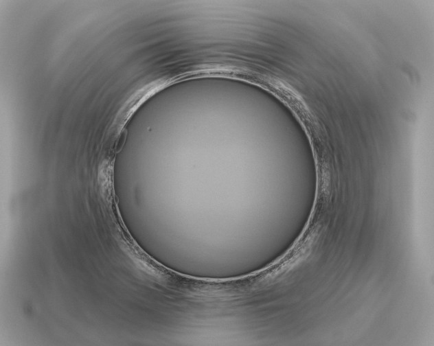 X0000115131369200911101638