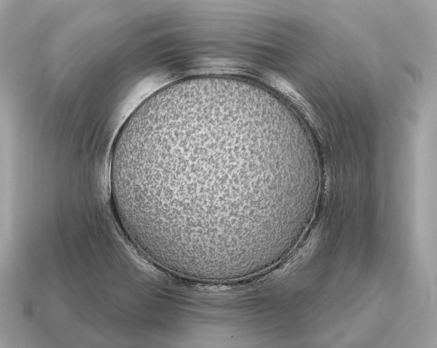 X0000115131370200911101638