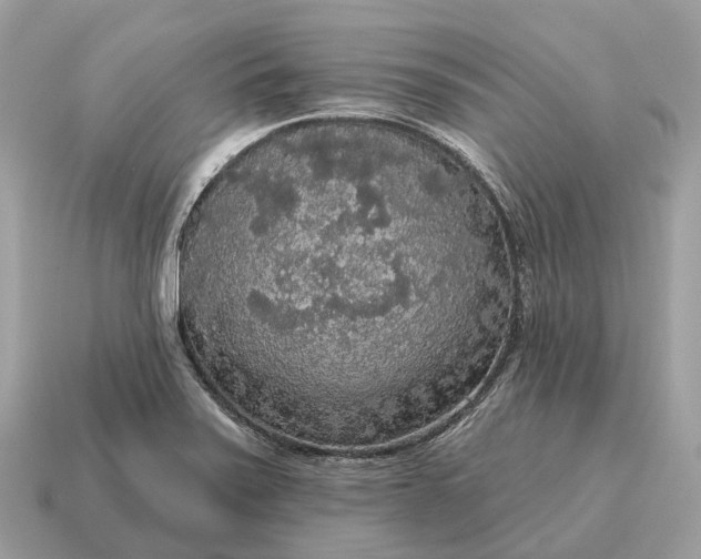 X0000115131371200911101638