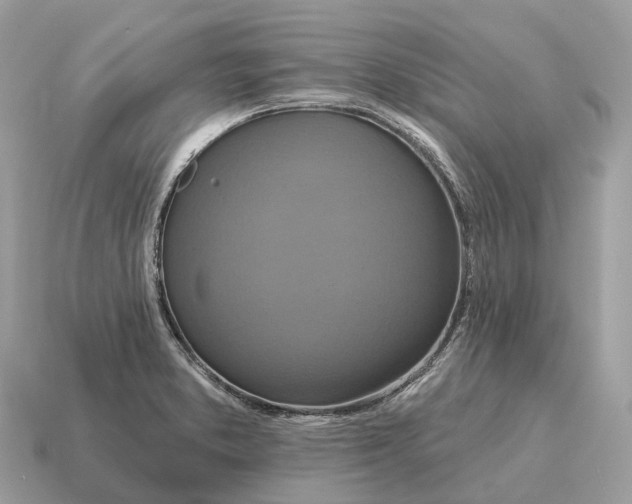X0000115131373200911101638