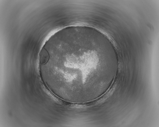 X0000115131374200911101638