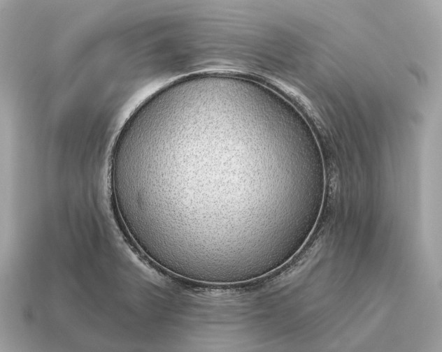 X0000115131375200911101638