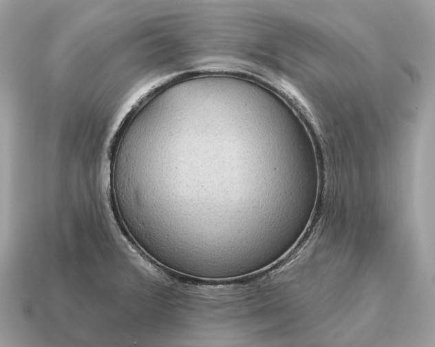 X0000115131376200911101638