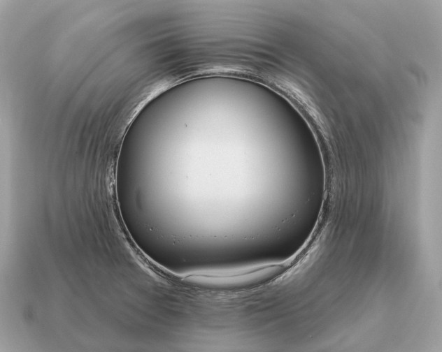 X0000115131377200911101638
