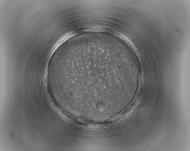 X0000115131378200911101638