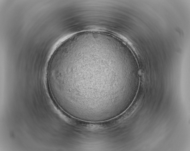 X0000115131379200911101638