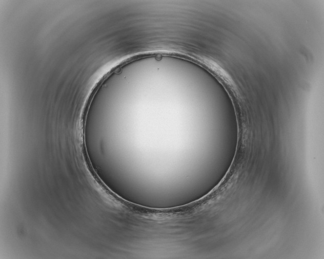 X0000115131380200911101638