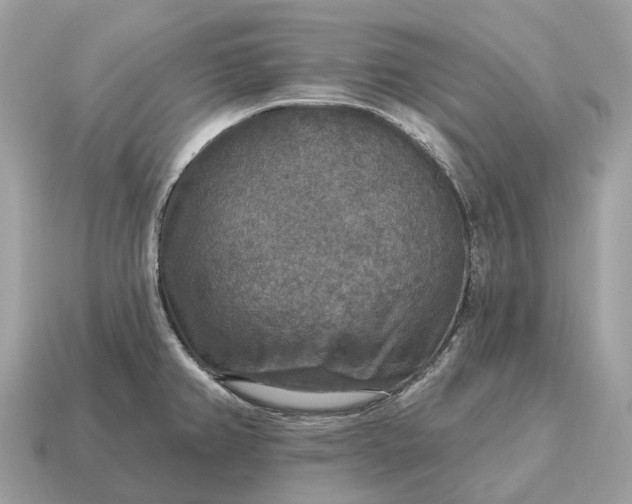 X0000115131382200911101638