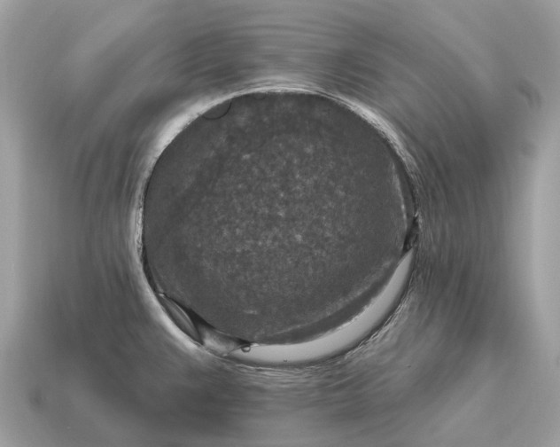 X0000115131383200911101638