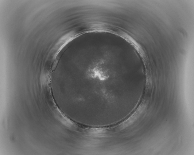 X0000115131385200911101638