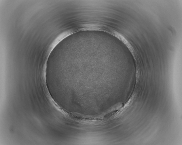 X0000115131386200911101638