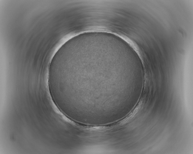 X0000115131390200911101638