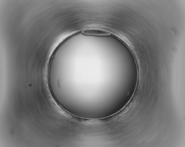 X0000115131392200911101638