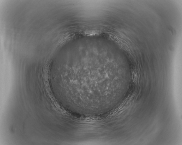 X0000115131393200911101637