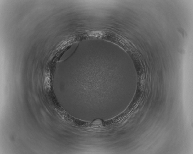 X0000115131394200911101637