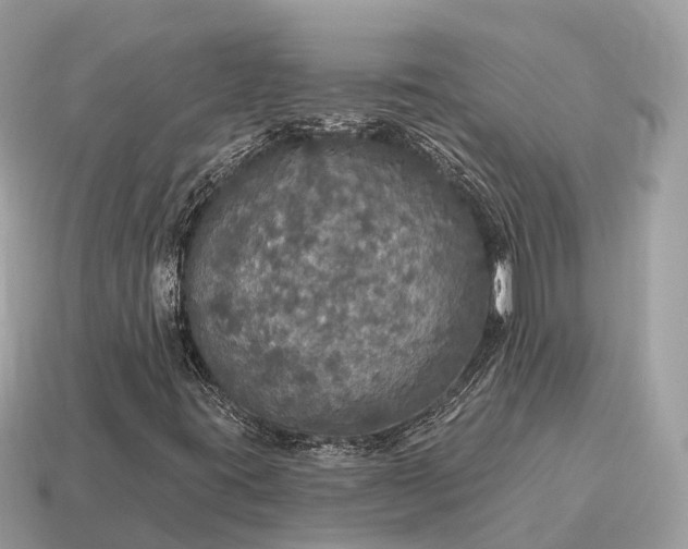 X0000115131395200911101637