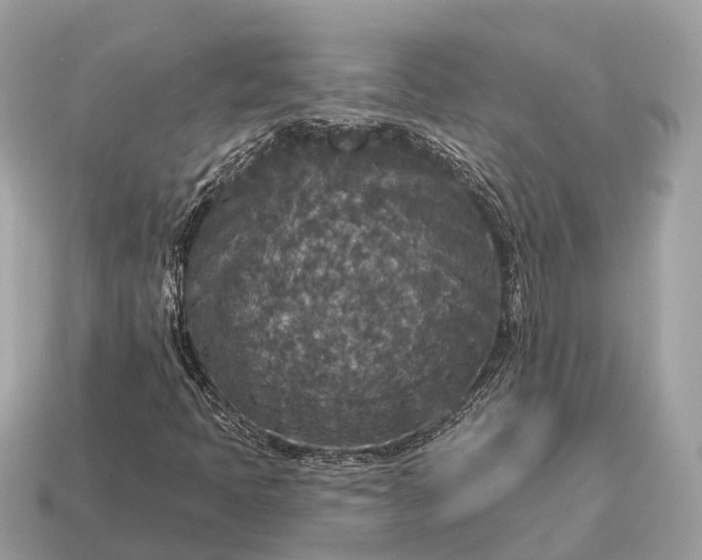 X0000115131397200911101637