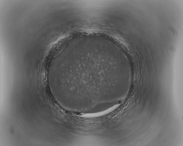 X0000115131398200911101637