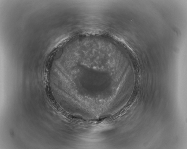 X0000115131399200911101637