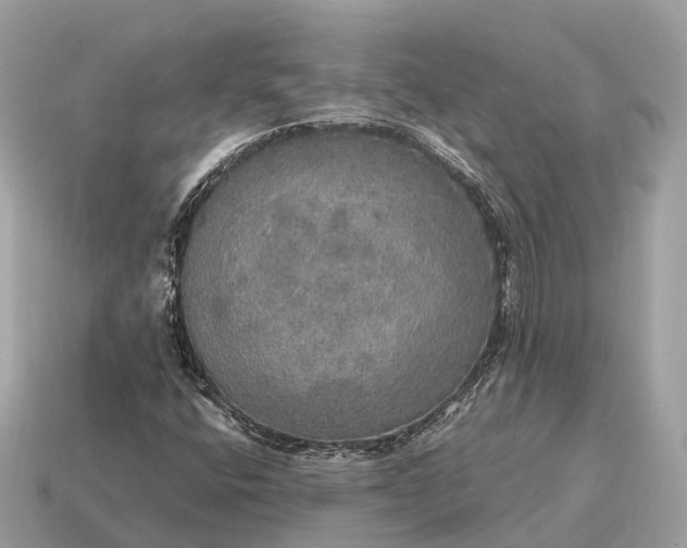 X0000115131400200911101637