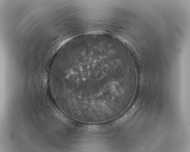 X0000115131401200911101637