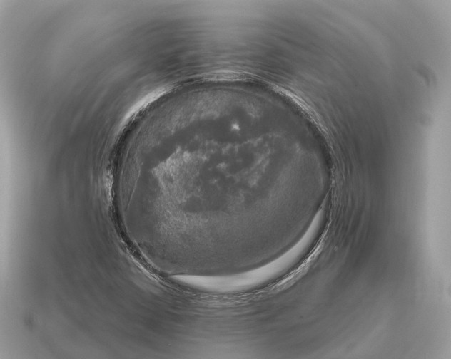 X0000115131402200911101637