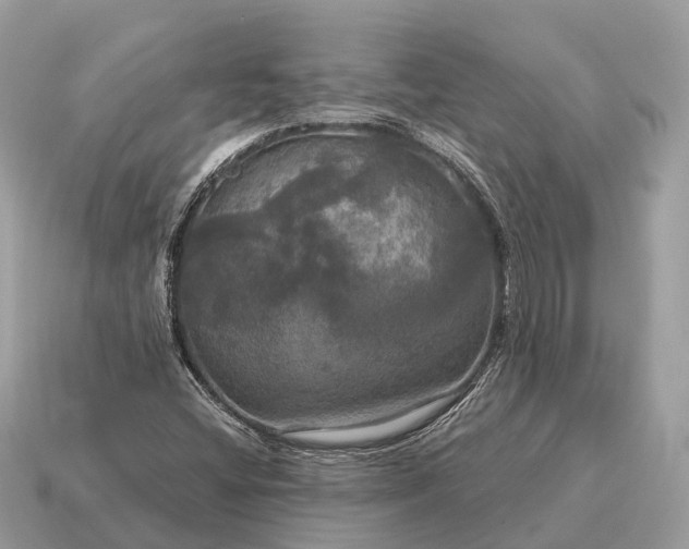 X0000115131404200911101637
