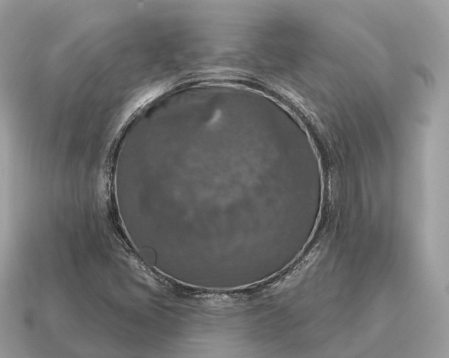 X0000115131405200911101637