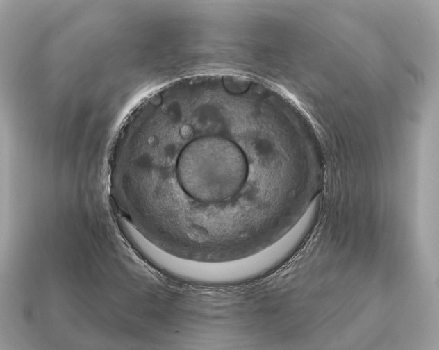 X0000115131408200911101637