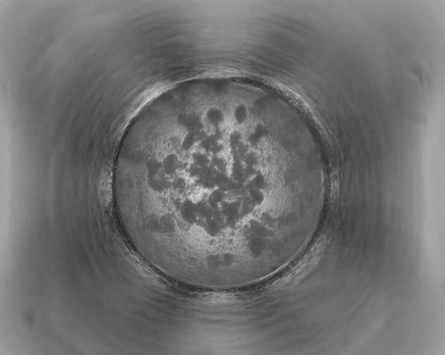 X0000115131409200911101637