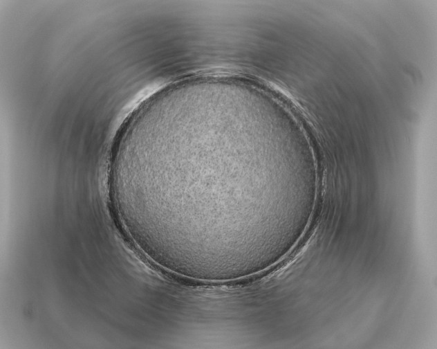 X0000115131410200911101638