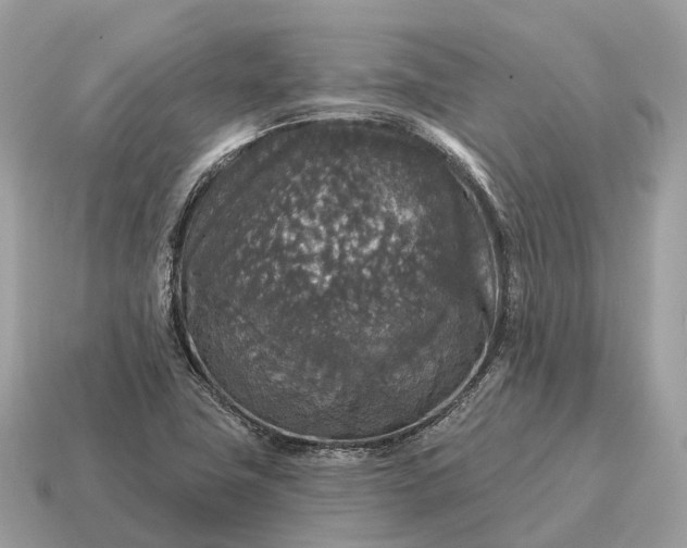 X0000115131411200911101638
