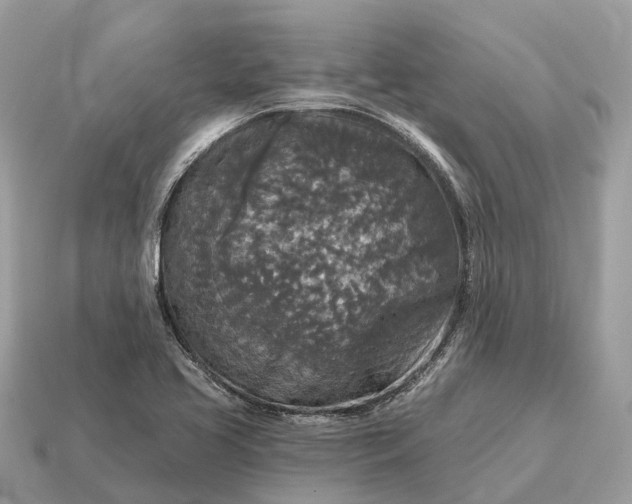 X0000115131413200911101638