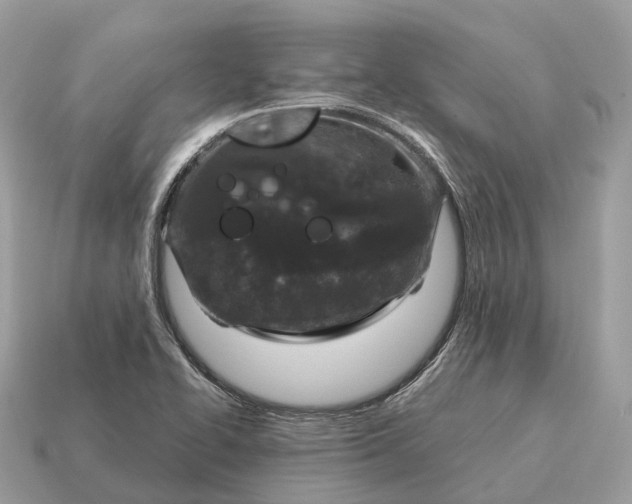X0000115131414200911101638