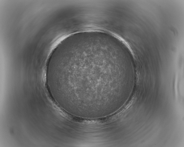 X0000115131415200911101638