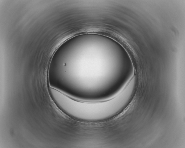 X0000115131417200911101638