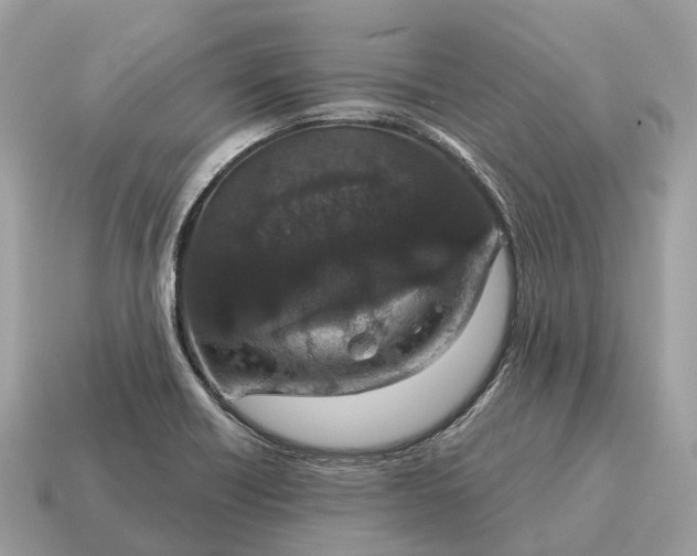 X0000115131418200911101638