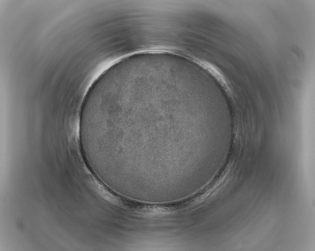 X0000115131420200911101638