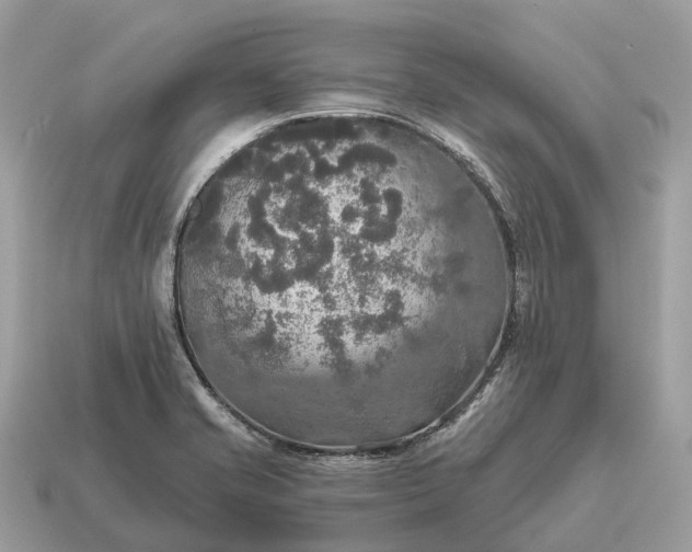 X0000115131421200911101638