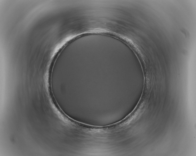 X0000115131422200911101638