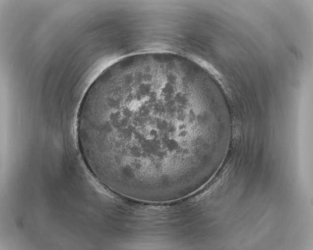 X0000115131423200911101638