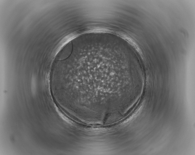 X0000115131425200911101638