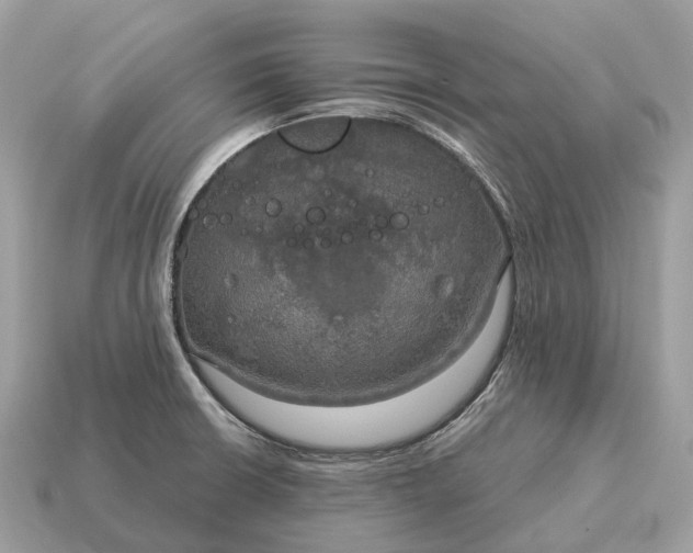 X0000115131426200911101638