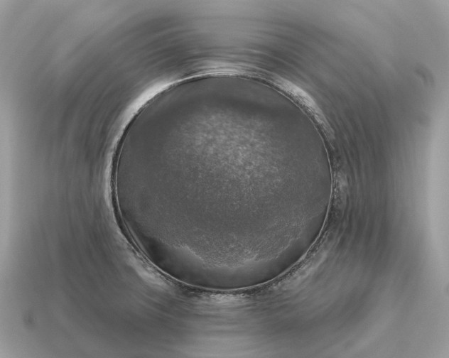 X0000115131427200911101638